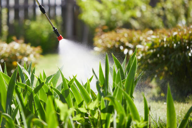 24/7 Emergency Termite Control experts in St. Matthews, SC